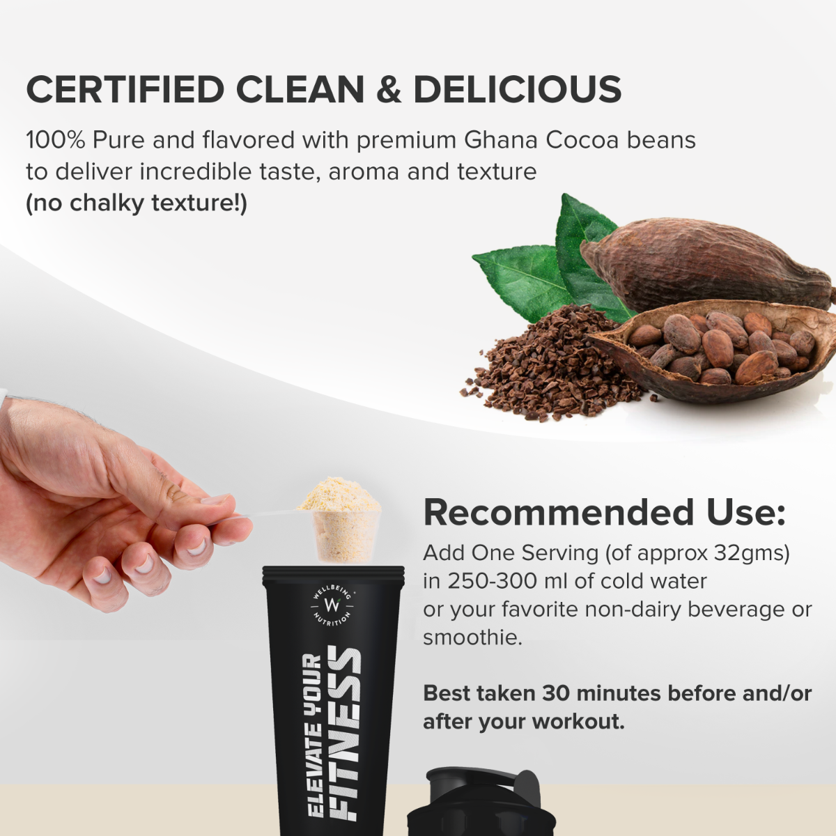 Wellbeing Nutrition Plant Protein Dark Chocolate Hazelnut Flavour Powder, 500 gm, Pack of 1 Wellbeing Nutrition Plant Protein Dark Chocolate Hazelnut Flavour Powder, 500 gm, Pack of 1