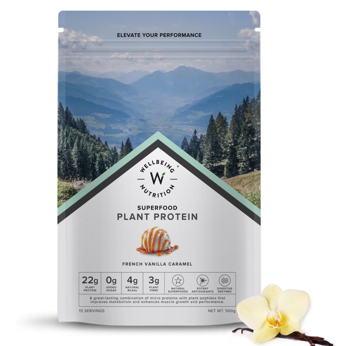 Wellbeing Nutrition Plant Protein French Vanilla Caramel Flavour Powder, 500 gm, Pack of 1 Wellbeing Nutrition Plant Protein French Vanilla Caramel Flavour Powder, 500 gm, Pack of 1