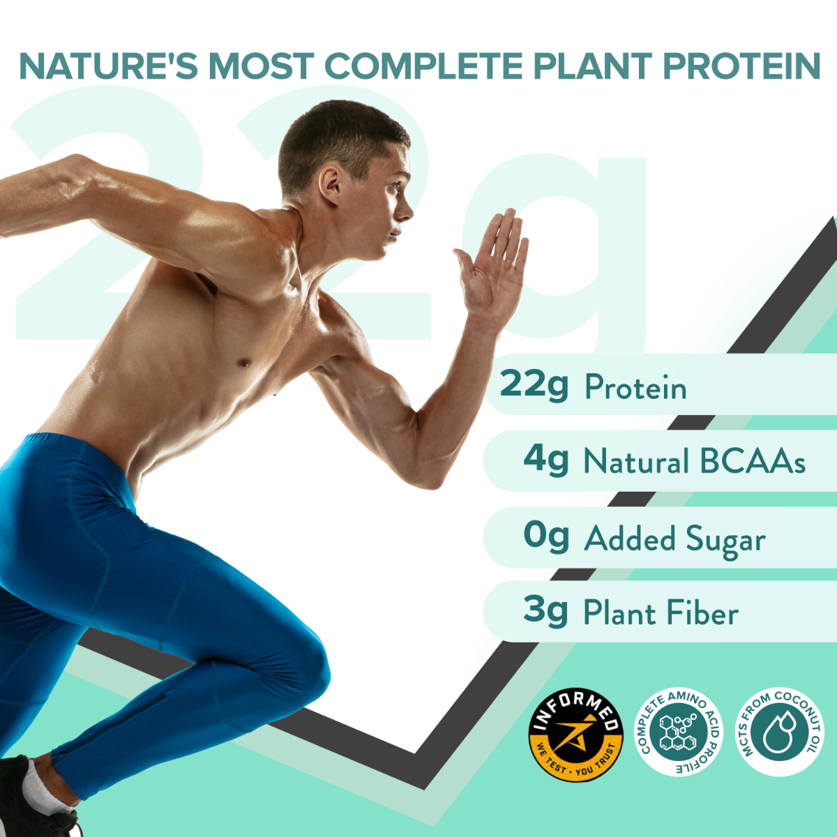 Wellbeing Nutrition Plant Protein French Vanilla Caramel Flavour Powder, 500 gm, Pack of 1 Wellbeing Nutrition Plant Protein French Vanilla Caramel Flavour Powder, 500 gm, Pack of 1