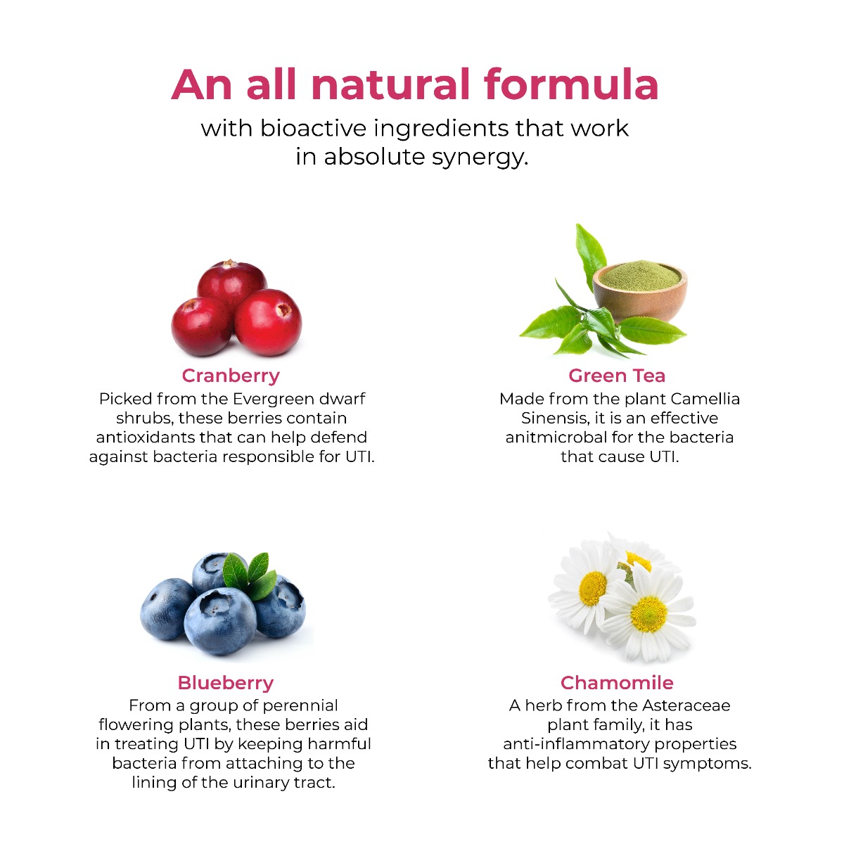 Wellbeing Nutrition Melts into UTI Relief Cranberry Fusion Flavour, 30 Oral Strips, Pack of 1 Wellbeing Nutrition Melts into UTI Relief Cranberry Fusion Flavour, 30 Oral Strips, Pack of 1