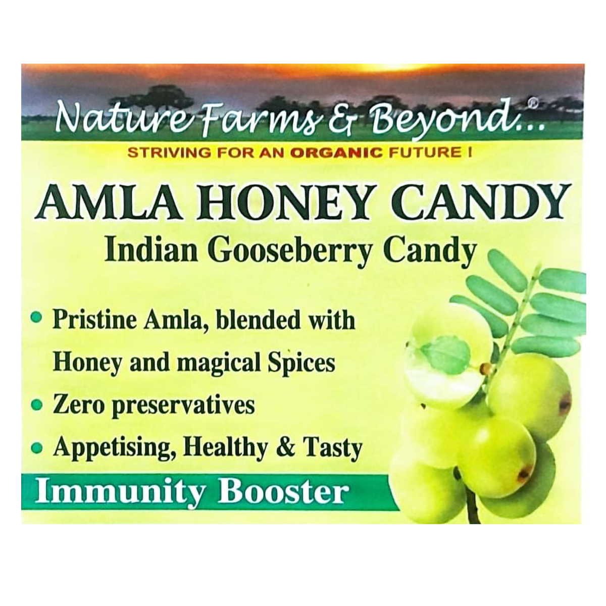 Amla Honey Candy, 500 gm, Pack of 1 Amla Honey Candy, 500 gm, Pack of 1