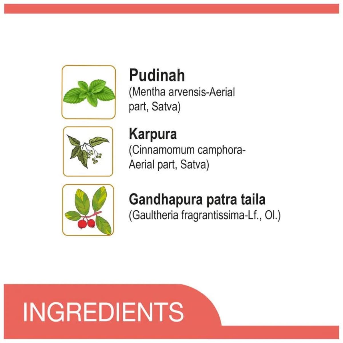 Amrutanjan Headache Faster Relaxation Roll-on, 10ml, Pack of 1 Amrutanjan Headache Faster Relaxation Roll-on, 10ml, Pack of 1