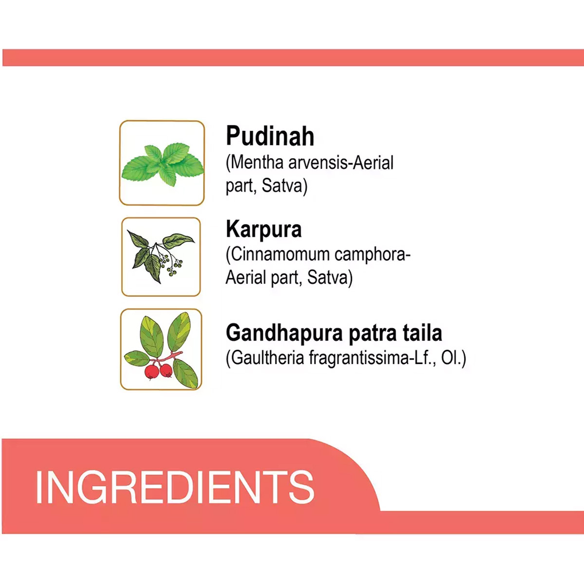 Amrutanjan Headache Faster Relaxation Roll-On, 5 ml, Pack of 1 Amrutanjan Headache Faster Relaxation Roll-On, 5 ml, Pack of 1