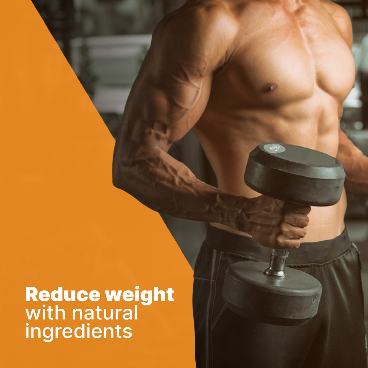 Apollo Life Fat Burner, 60 Capsules, Pack of 1 Apollo Life Fat Burner, 60 Capsules, Pack of 1