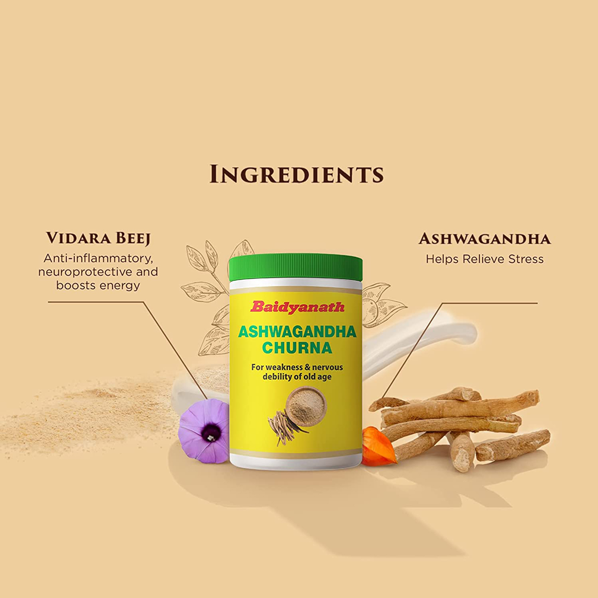 Baidyanath Ashwagandha Churna, 100 gm, Pack of 1 Baidyanath Ashwagandha Churna, 100 gm, Pack of 1