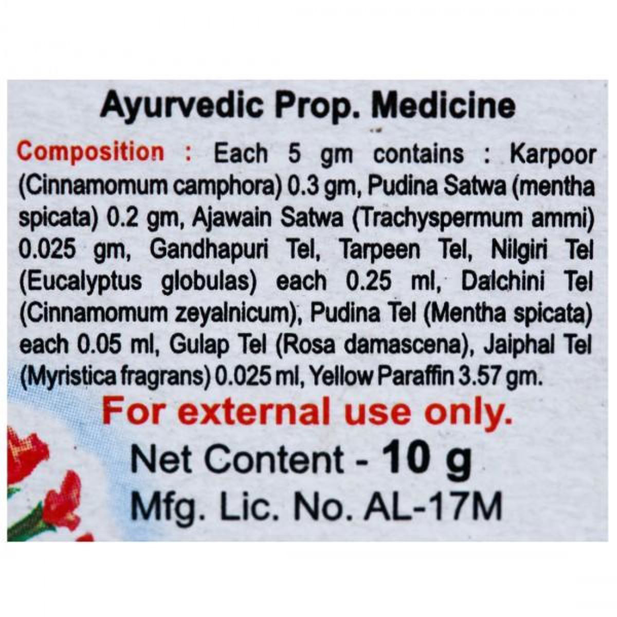 Baidyanath Balm, 10 gm, Pack of 1