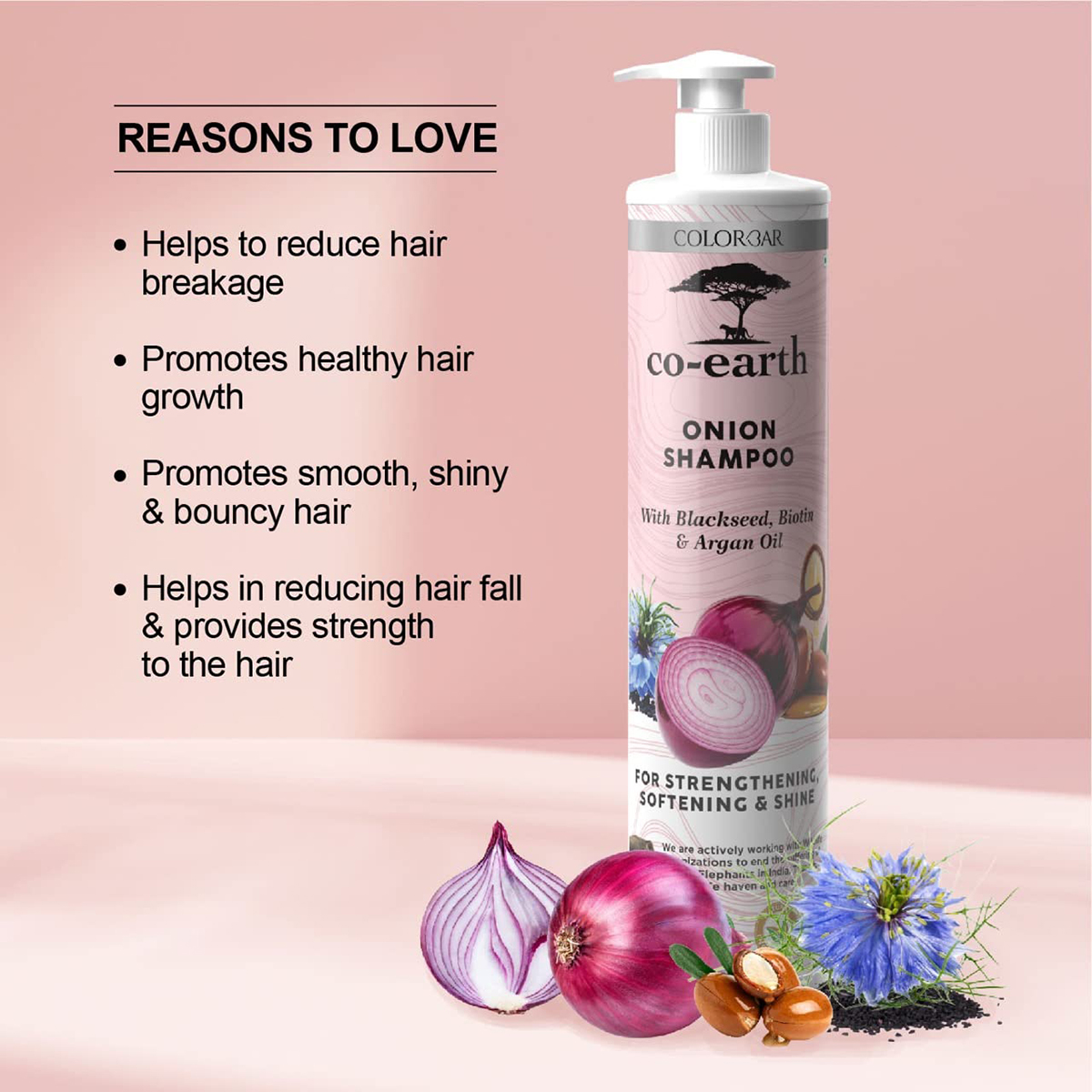 Colorbar Co-Earth Onion Shampoo, 300 ml, Pack of 1 Colorbar Co-Earth Onion Shampoo, 300 ml, Pack of 1