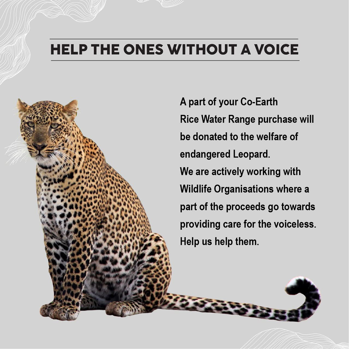 Colorbar Co-Earth Rice Water Hair Serum, 100 ml, Pack of 1 Colorbar Co-Earth Rice Water Hair Serum, 100 ml, Pack of 1