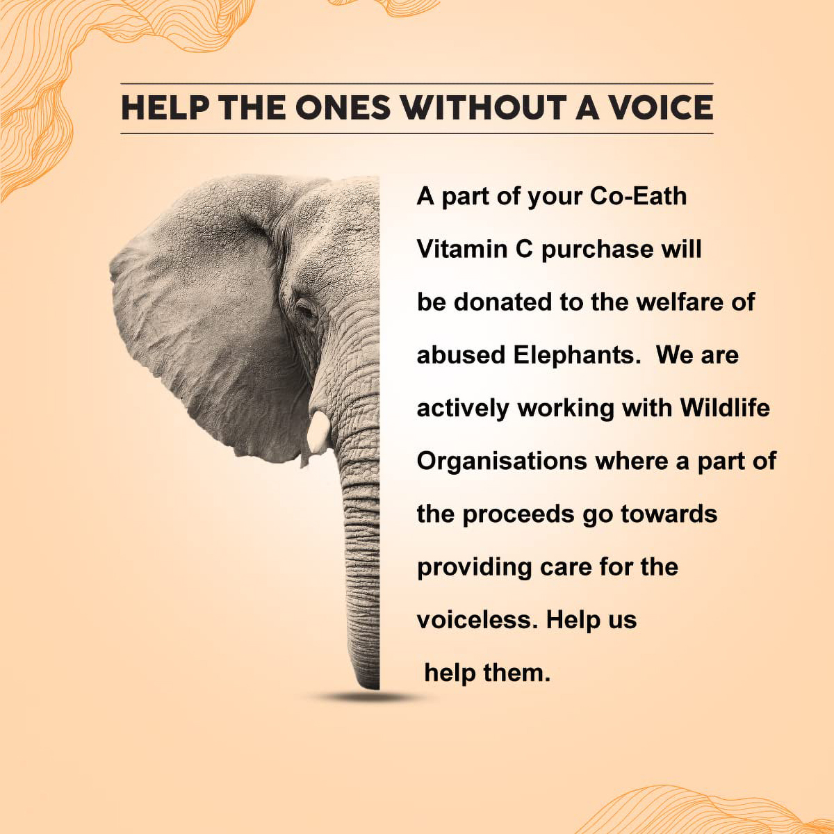 Colorbar Co-Earth Vitamin C Face Toner 200 ml | Cucumber, Watermelon, Witch Hazel, lavender, Granium & Sandalwood | Tightens Pore | Hydrates & Lightens Skin | For Even Toned Skin, Pack of 1 Colorbar Co-Earth Vitamin C Face Toner 200 ml | Cucumber, Watermelon, Witch Hazel, lavender, Granium & Sandalwood | Tightens Pore | Hydrates & Lightens Skin | For Even Toned Skin, Pack of 1