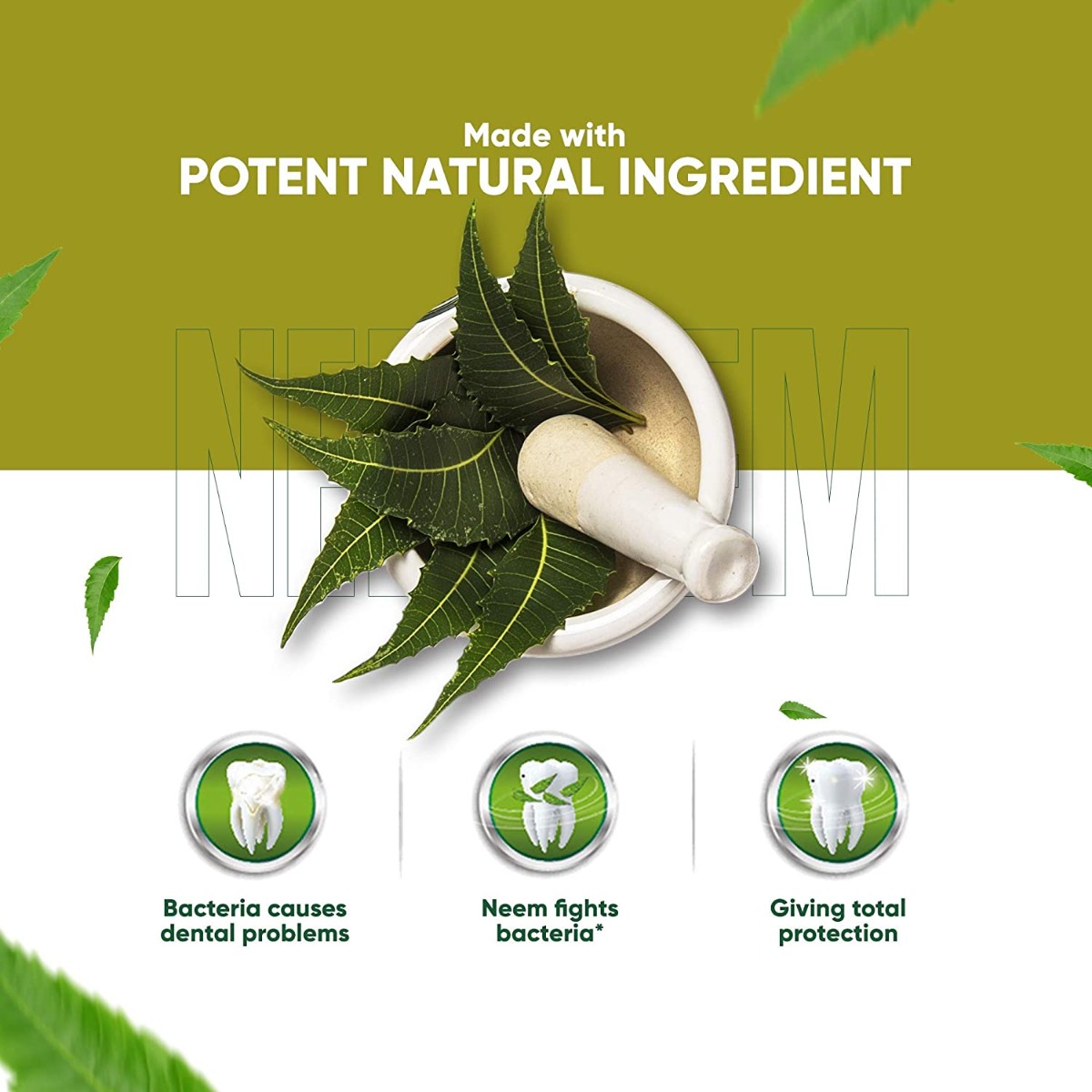 Dabur Herb'l Neem Germ Protection Toothpaste, 100 gm, Pack of 1 Dabur Herb'l Neem Germ Protection Toothpaste, 100 gm, Pack of 1