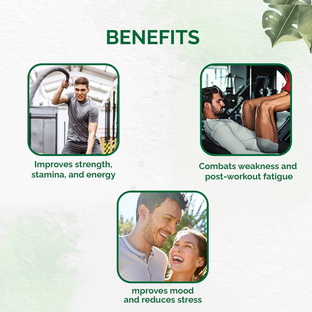 Dr. Vaidya's Shilajit Plus, 30 Capsules, Pack of 1 Dr. Vaidya's Shilajit Plus, 30 Capsules, Pack of 1