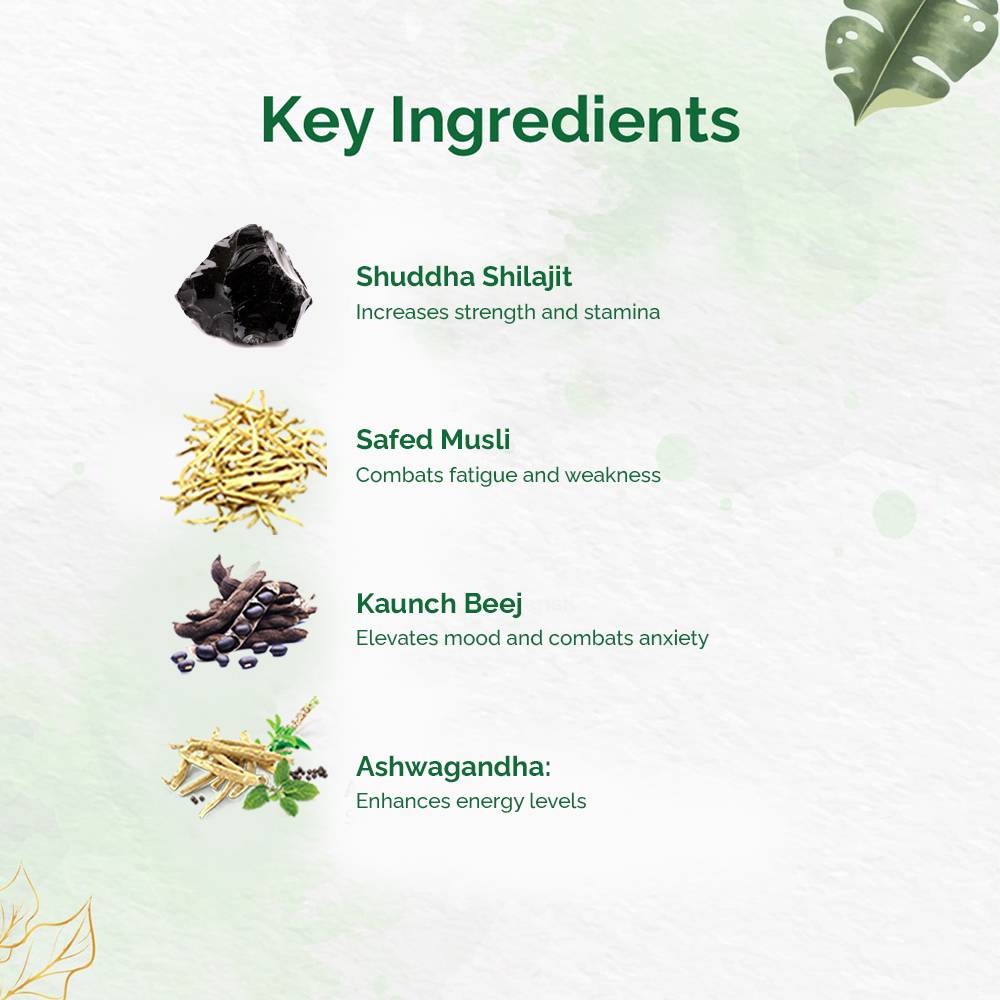 Dr. Vaidya's Shilajit Plus, 30 Capsules, Pack of 1 Dr. Vaidya's Shilajit Plus, 30 Capsules, Pack of 1