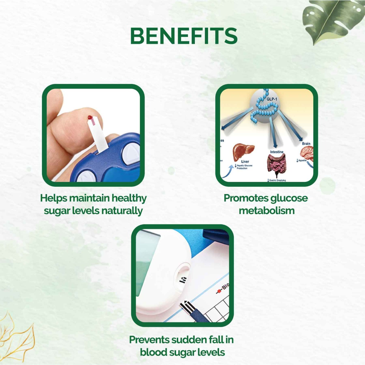 Dr. Vaidya's Diabex, 30 Capsules, Pack of 1 Dr. Vaidya's Diabex, 30 Capsules, Pack of 1