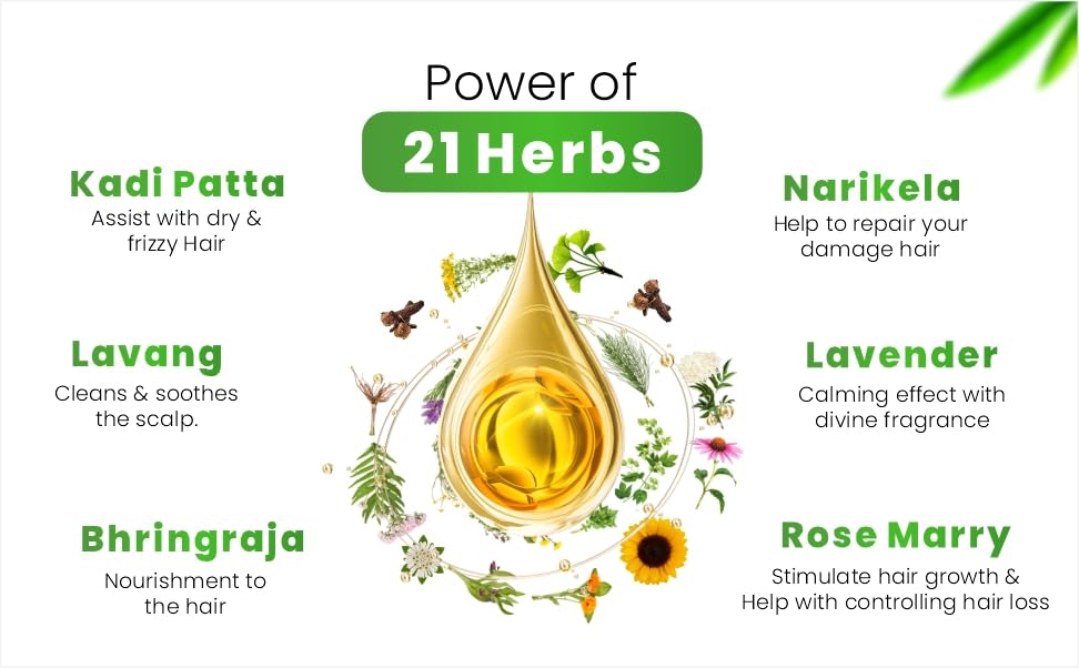 Enshine Hair Oil, 100 ml, Pack of 1 Enshine Hair Oil, 100 ml, Pack of 1