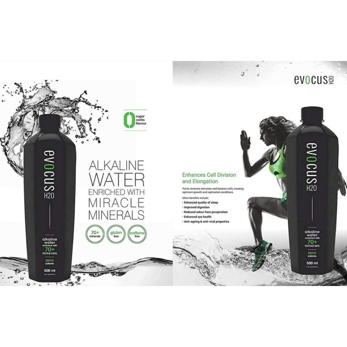 Evocus H20 Alkaline Water, 500 ml, Pack of 1 Evocus H20 Alkaline Water, 500 ml, Pack of 1