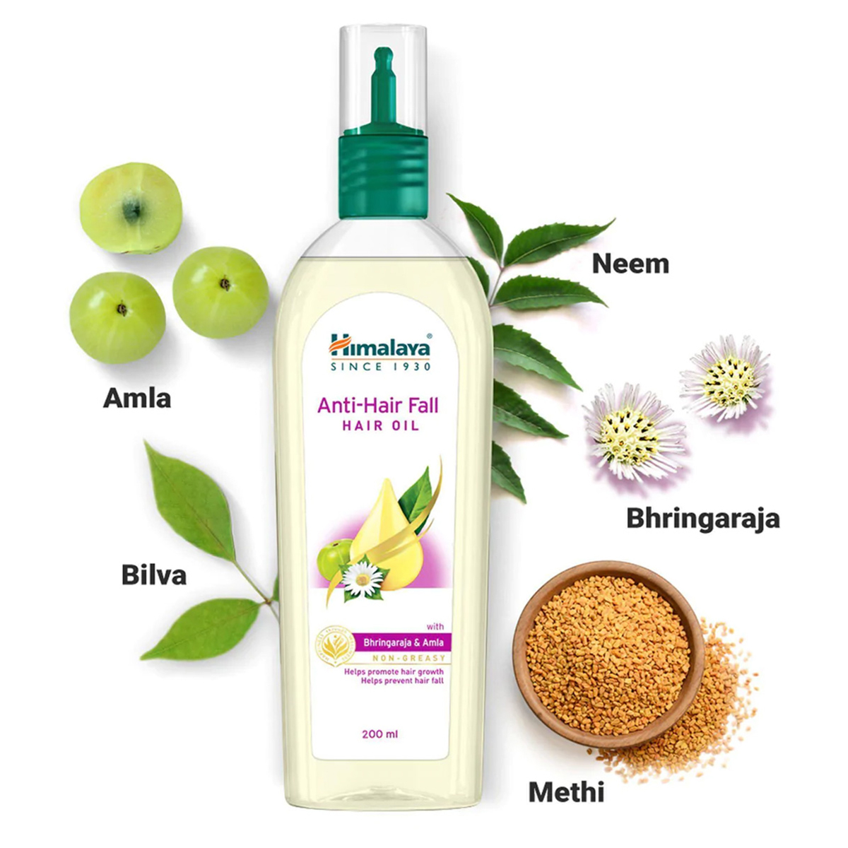 Himalaya Anti-Hair Fall Hair Oil, 200 ml, Pack of 1 Himalaya Anti-Hair Fall Hair Oil, 200 ml, Pack of 1