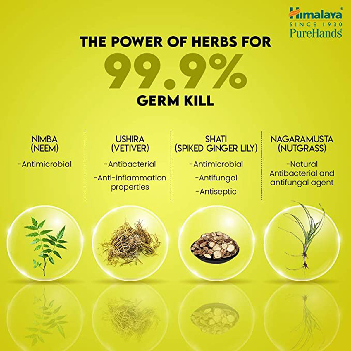 Himalaya Pure Hands Lemon Flavour Hand Sanitizer 500 ml | KillS 99.9% Of Germs, Pack of 1 Himalaya Pure Hands Lemon Flavour Hand Sanitizer 500 ml | KillS 99.9% Of Germs, Pack of 1