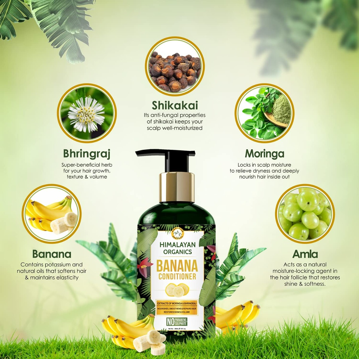 Himalayan Organics Banana Conditioner, 300 ml, Pack of 1 Himalayan Organics Banana Conditioner, 300 ml, Pack of 1