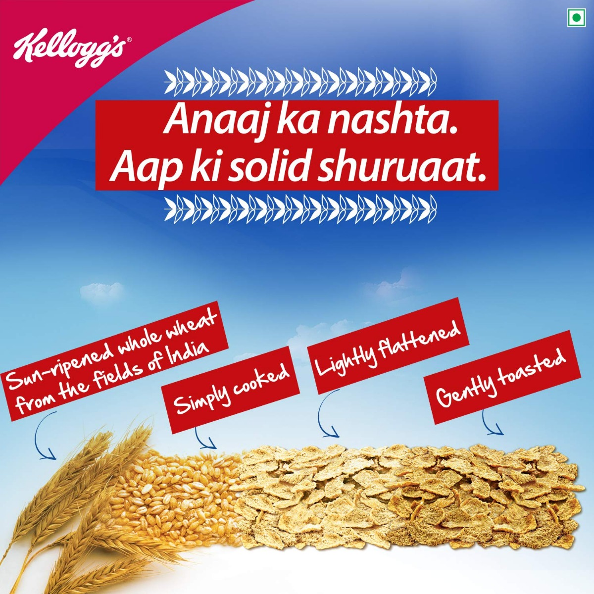 Kelloggs All Bran Wheat Flakes, 425 gm, Pack of 1 Kelloggs All Bran Wheat Flakes, 425 gm, Pack of 1