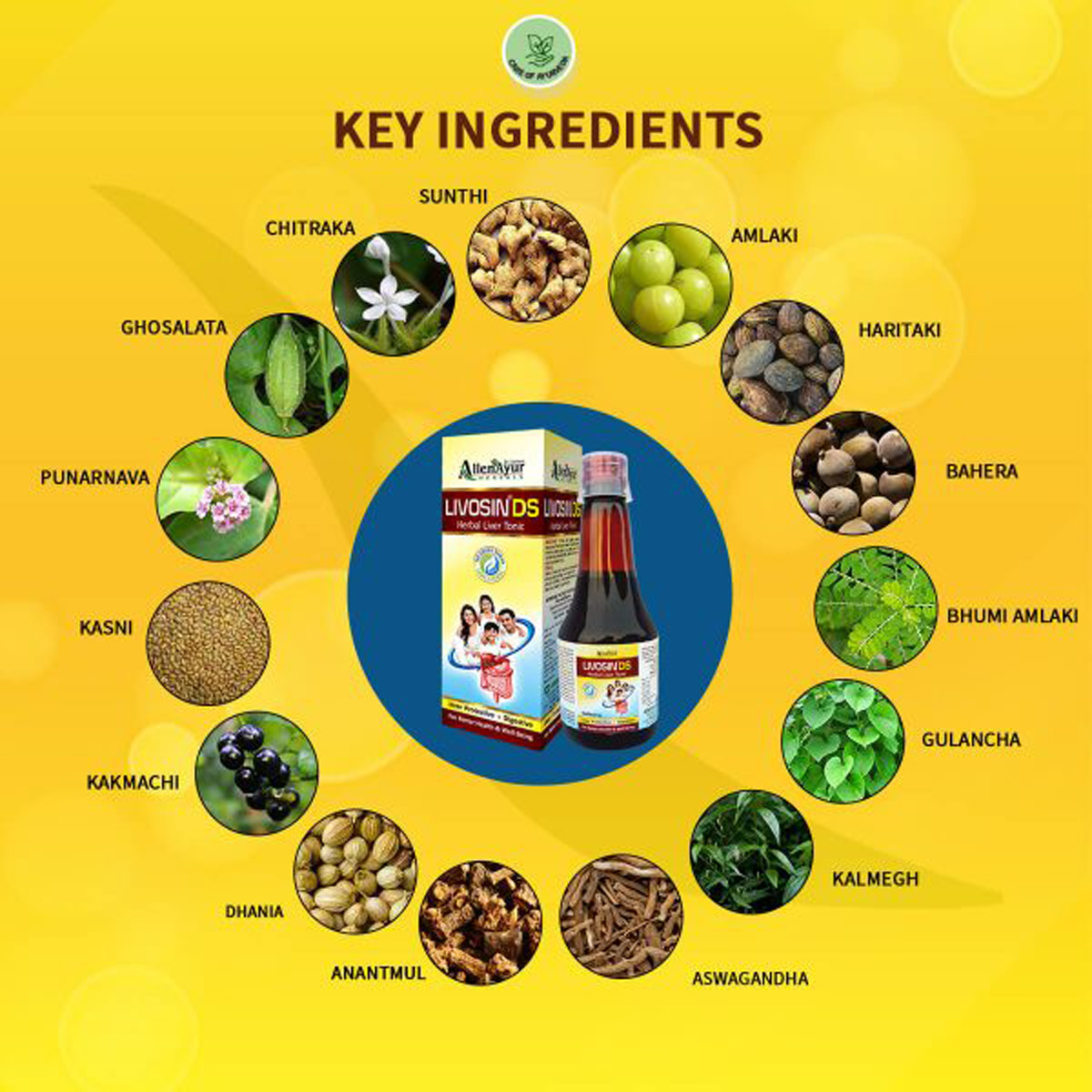 Livosin DS Herbal Liver Tonic, 200 ml Livosin DS Herbal Liver Tonic, 200 ml