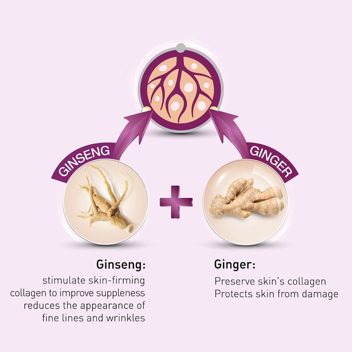 Lotus Herbals YouthRx Youth Activating Serum + Creme 30 ml | Ginseng & Ginger | Gineplex Youth Compund Formula | Reduces Signs Of Ageing | Brigtens, Firms & Plumps Skin, Pack of 1 Lotus Herbals YouthRx Youth Activating Serum + Creme 30 ml | Ginseng & Ginger | Gineplex Youth Compund Formula | Reduces Signs Of Ageing | Brigtens, Firms & Plumps Skin, Pack of 1