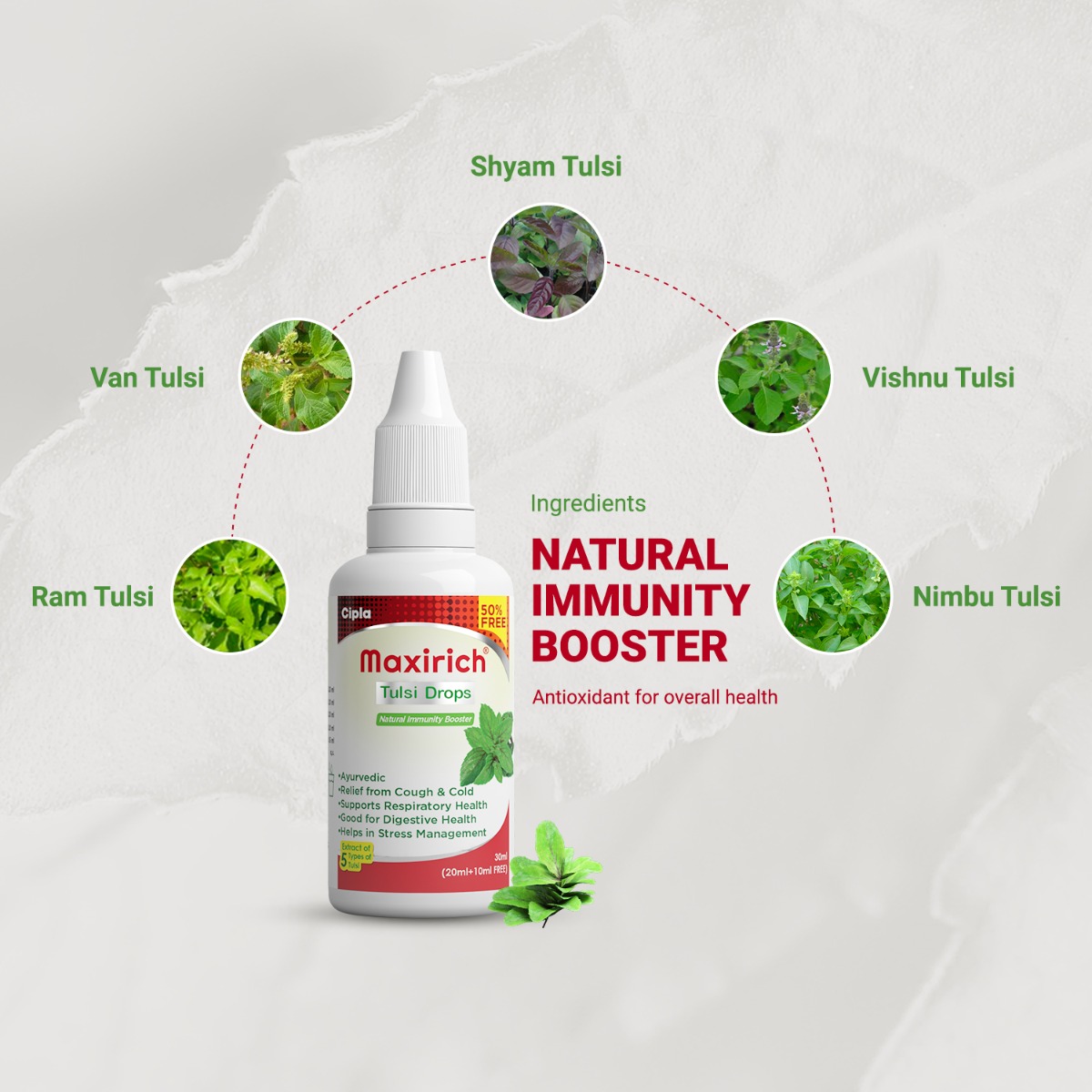 Maxirich Tulsi Drops, 30 ml, Pack of 1 Maxirich Tulsi Drops, 30 ml, Pack of 1