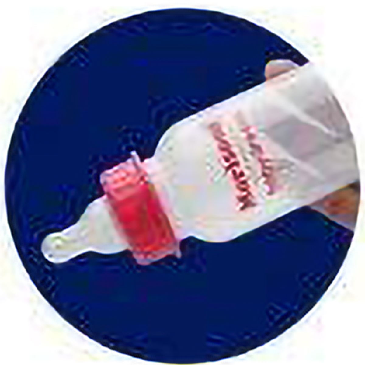 Morrison Regular Feeding Bottle Medium, 250 ml, Pack of 1 Morrison Regular Feeding Bottle Medium, 250 ml, Pack of 1