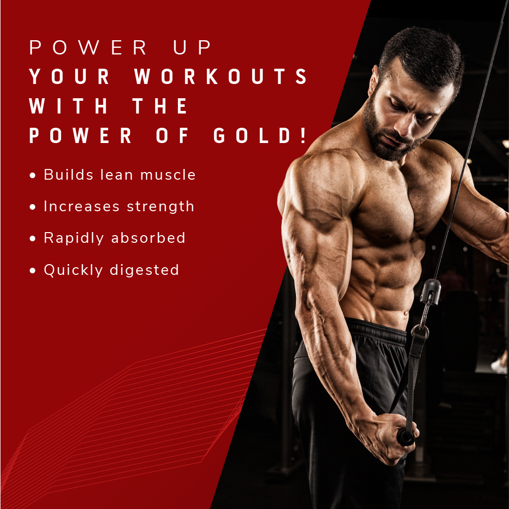 Muscletech Nitrotech 100% Whey Gold Double Rich Chocolate Flavour Powder, 1 kg, Pack of 1 Muscletech Nitrotech 100% Whey Gold Double Rich Chocolate Flavour Powder, 1 kg, Pack of 1