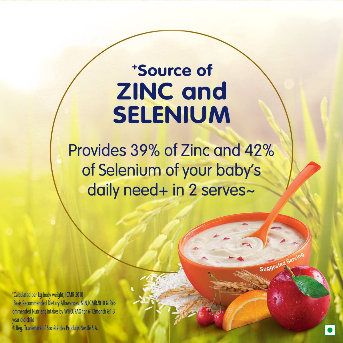 Nestle Nestum Baby Cereal Rice Fruits (From 10 to 24 Months) Powder, 300 gm Refill Pack, Pack of 1 Nestle Nestum Baby Cereal Rice Fruits (From 10 to 24 Months) Powder, 300 gm Refill Pack, Pack of 1