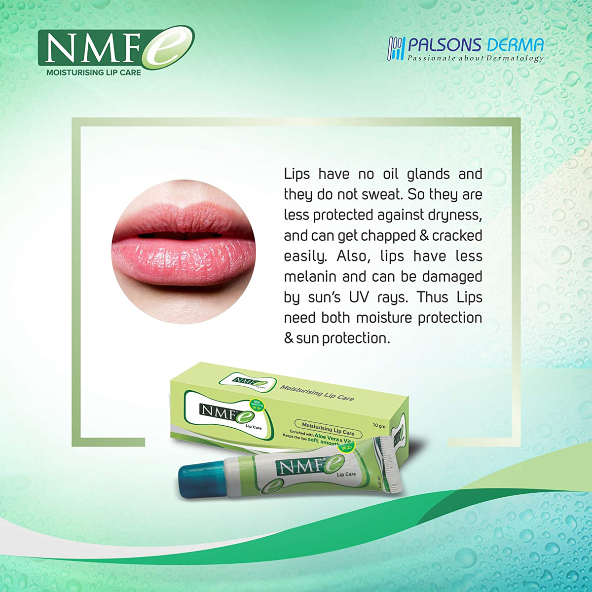 Nmfe Lip Care, 10 gm, Pack of 1 Nmfe Lip Care, 10 gm, Pack of 1