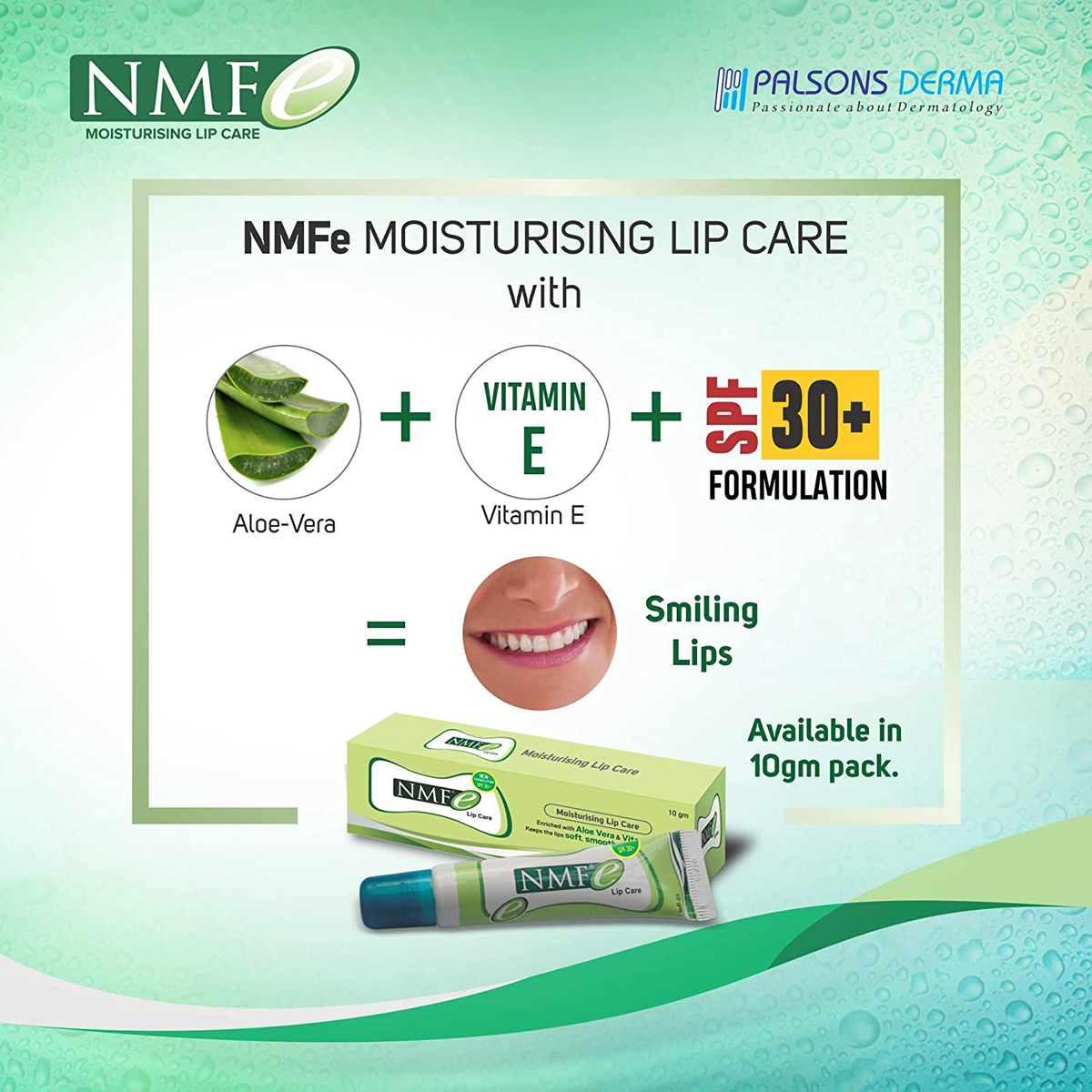 Nmfe Lip Care, 10 gm, Pack of 1 Nmfe Lip Care, 10 gm, Pack of 1