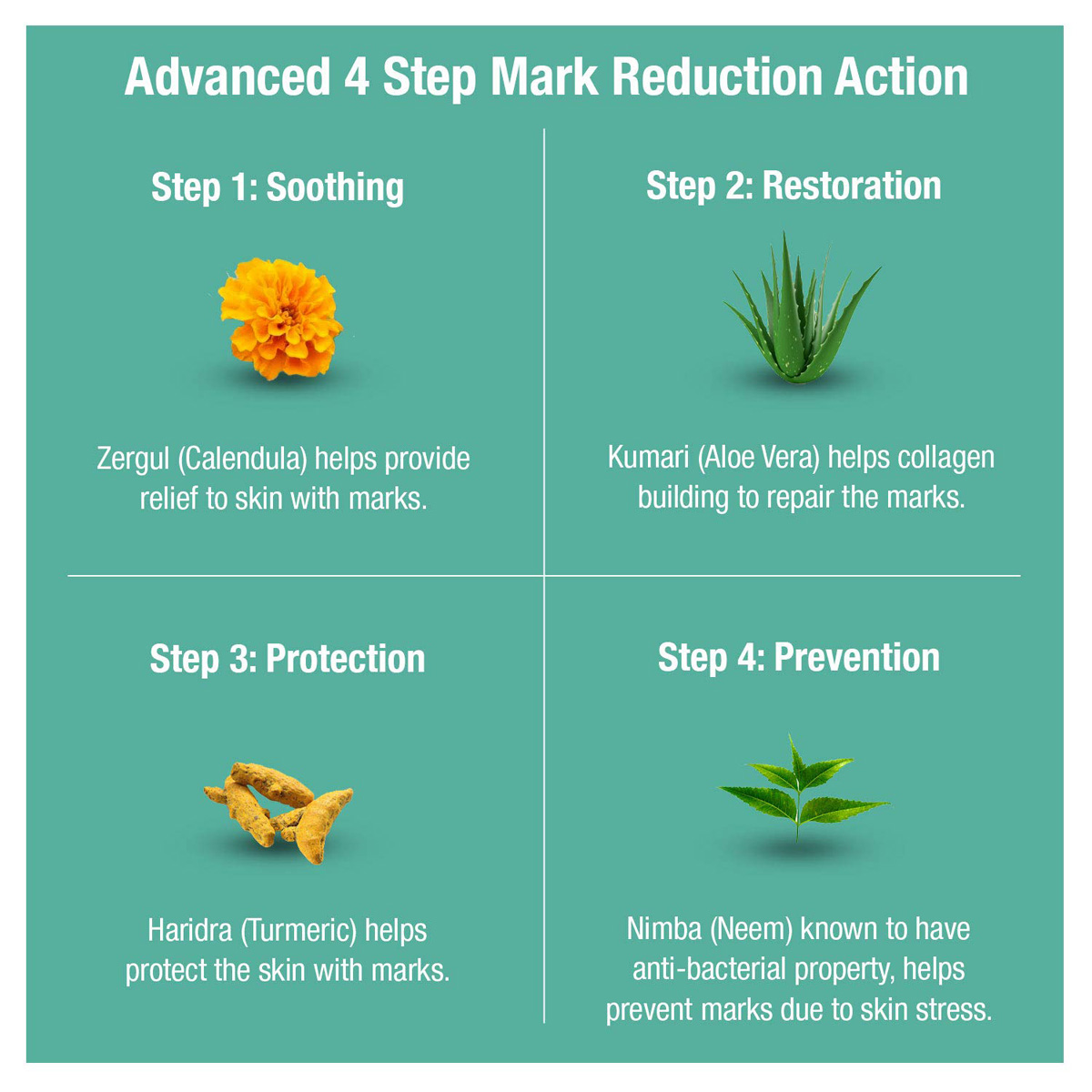 Bajaj Nomarks Anti-Marks Cream 12 gm | Calendula, Aloe Vera, Neem, Turmeric | Prevents Marks | For Normal Skin, Pack of 1 Bajaj Nomarks Anti-Marks Cream 12 gm | Calendula, Aloe Vera, Neem, Turmeric | Prevents Marks | For Normal Skin, Pack of 1