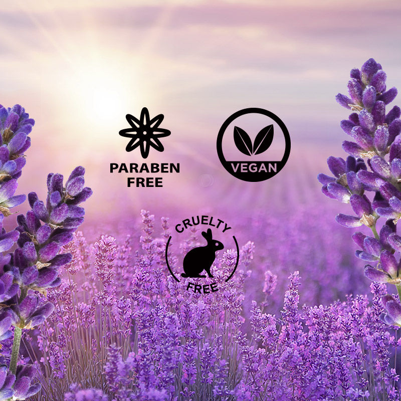 Nykaa Wanderlust French Lavender Body Lotion 300 ml | Moisture Lock Upto 8Hrs | Non Greasy Formula, Pack of 1 Nykaa Wanderlust French Lavender Body Lotion 300 ml | Moisture Lock Upto 8Hrs | Non Greasy Formula, Pack of 1