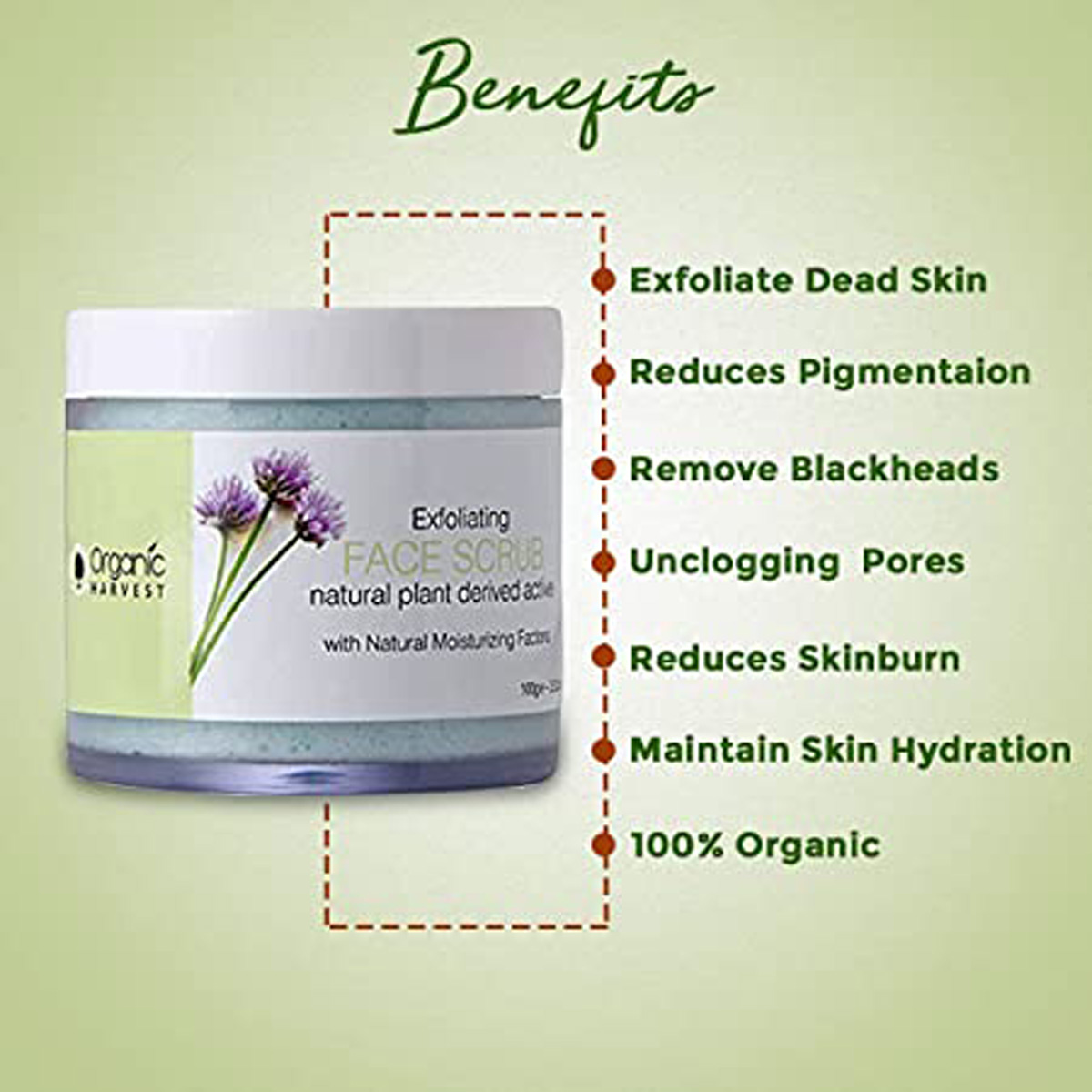 Organic Harvest Exfoliating Face Scrub 100 gm | With Natural Moisturing Factors, Olive Oil | Removes Blackhead, & Dead Skin Cells | Deep Pore Cleansing | For All Skin Type, Pack of 1 Organic Harvest Exfoliating Face Scrub 100 gm | With Natural Moisturing Factors, Olive Oil | Removes Blackhead, & Dead Skin Cells | Deep Pore Cleansing | For All Skin Type, Pack of 1