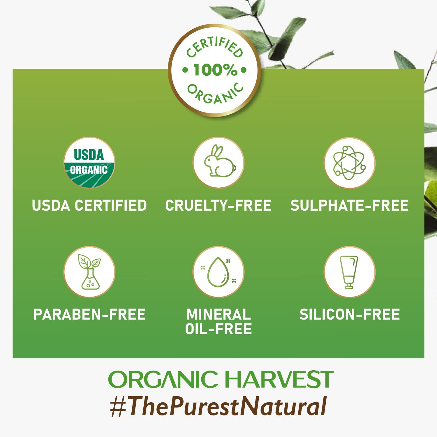 Organic Harvest Daily Day Cream SPF 30, 50 gm, Pack of 1 Organic Harvest Daily Day Cream SPF 30, 50 gm, Pack of 1