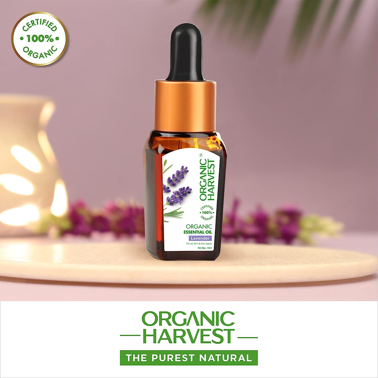 Organic Harvest Lavender Essential Oil 10 ml | 100% Certified Organic | For All Skin & Hair Type, Pack of 1 Organic Harvest Lavender Essential Oil 10 ml | 100% Certified Organic | For All Skin & Hair Type, Pack of 1