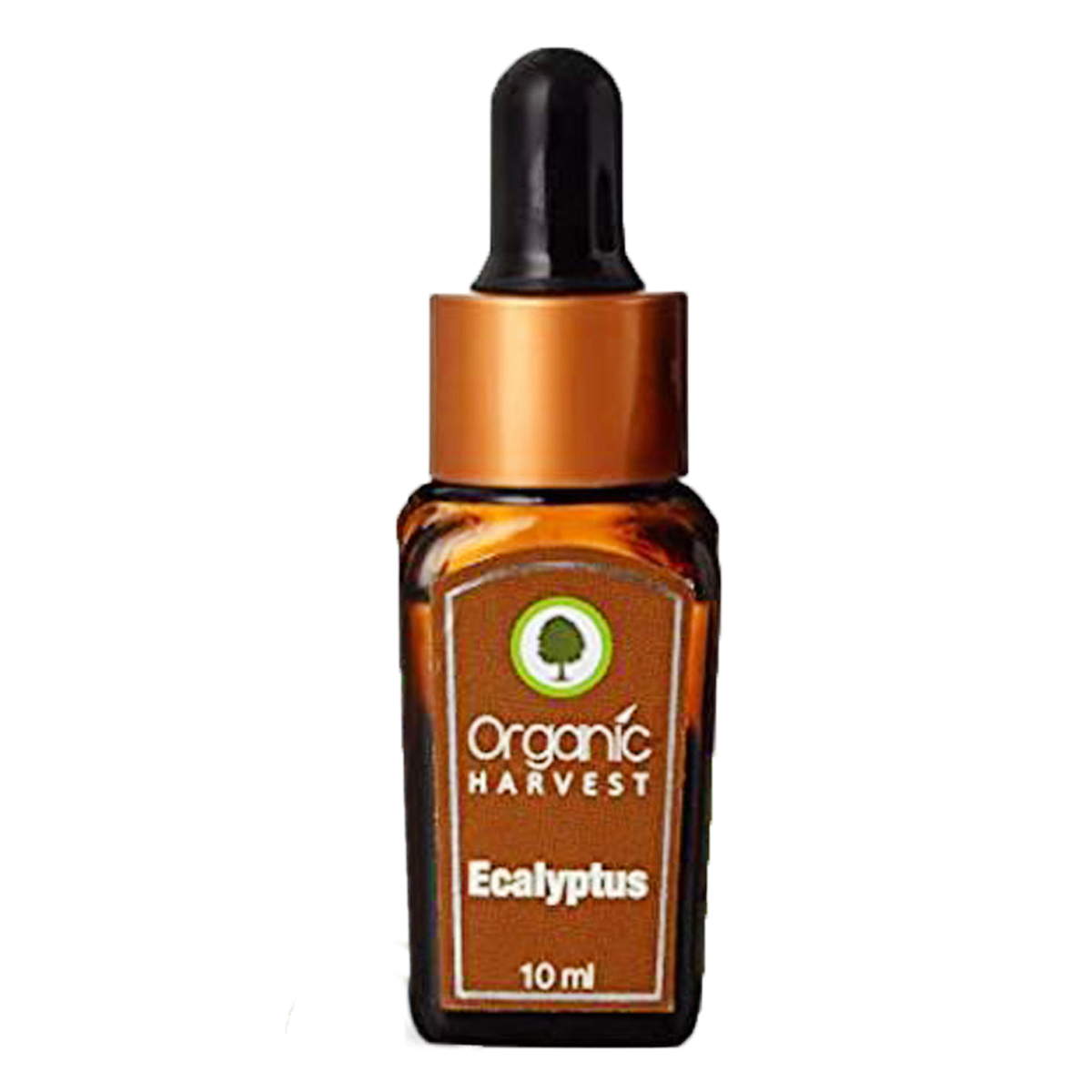 Organic Harvest Ecalyptus Essential Oil 10 ml | For Face, Skin & Hair Care | Relieves Muscle & Joint Pain | 100% Orgainc Essential Oil, Pack of 1 Organic Harvest Ecalyptus Essential Oil 10 ml | For Face, Skin & Hair Care | Relieves Muscle & Joint Pain | 100% Orgainc Essential Oil, Pack of 1