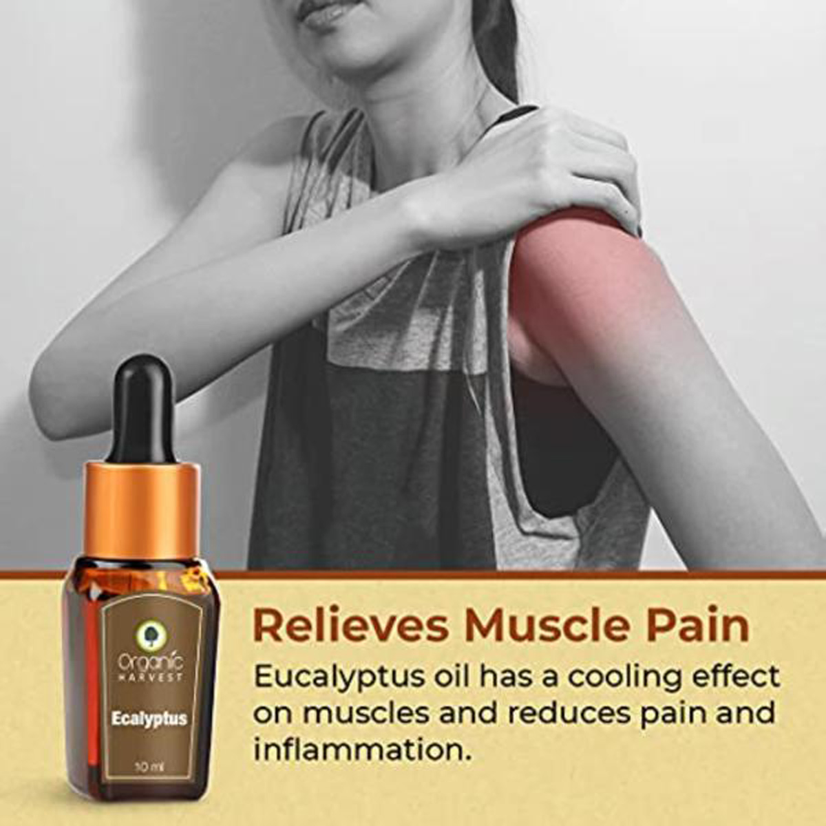 Organic Harvest Ecalyptus Essential Oil 10 ml | For Face, Skin & Hair Care | Relieves Muscle & Joint Pain | 100% Orgainc Essential Oil, Pack of 1 Organic Harvest Ecalyptus Essential Oil 10 ml | For Face, Skin & Hair Care | Relieves Muscle & Joint Pain | 100% Orgainc Essential Oil, Pack of 1