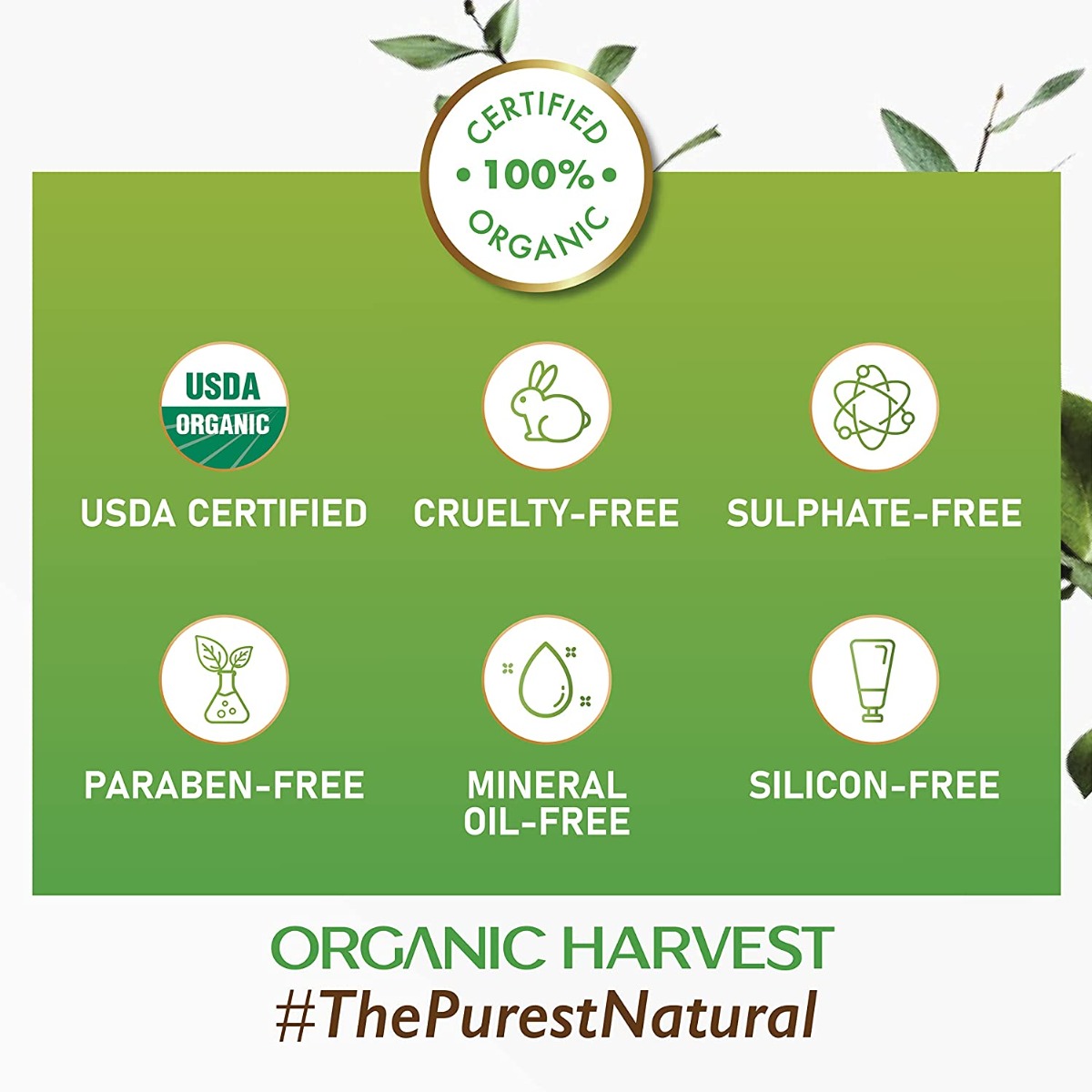 Organic Harvest SPF 30 Sunscreen Cream for Oily Skin, 100 gm, Pack of 1 Organic Harvest SPF 30 Sunscreen Cream for Oily Skin, 100 gm, Pack of 1