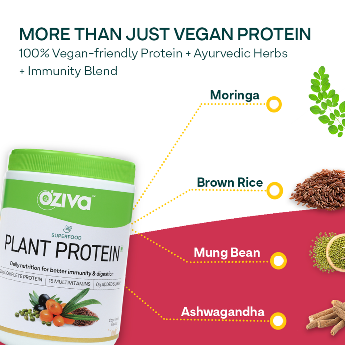 OZiva Super Food Plant Protein Coco Vanilla Flavour Powder, 250 gm, Pack of 1 OZiva Super Food Plant Protein Coco Vanilla Flavour Powder, 250 gm, Pack of 1