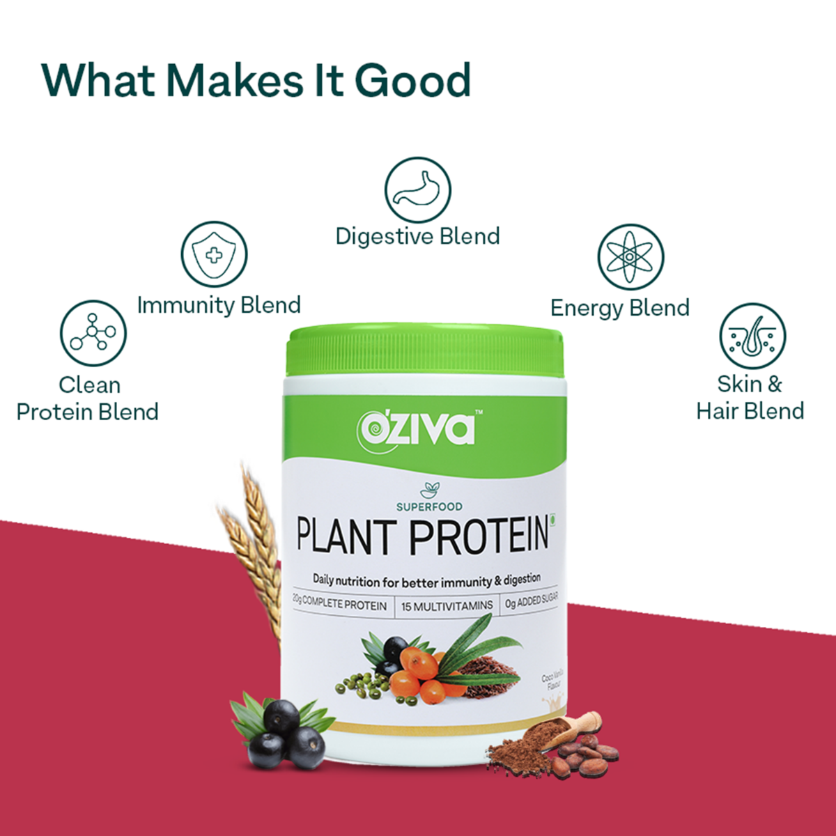 OZiva Super Food Plant Protein Coco Vanilla Flavour Powder, 250 gm, Pack of 1 OZiva Super Food Plant Protein Coco Vanilla Flavour Powder, 250 gm, Pack of 1