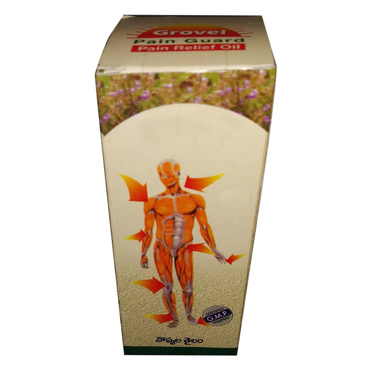 Pain Guard Pain Relief Oil, 60 ml, Pack of 1 Pain Guard Pain Relief Oil, 60 ml, Pack of 1