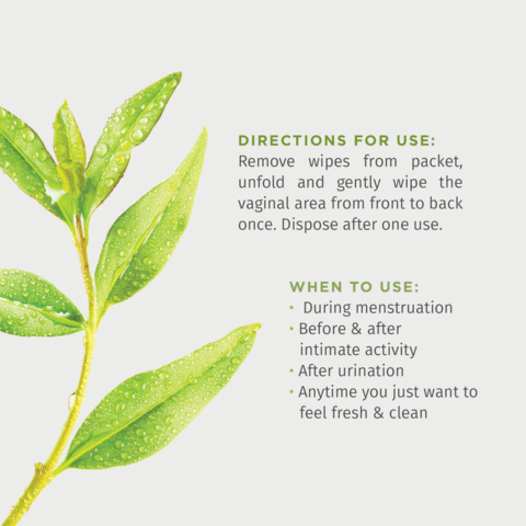 Pee Safe Natural Intimate Wipes, 10 Count, Pack of 1 Pee Safe Natural Intimate Wipes, 10 Count, Pack of 1