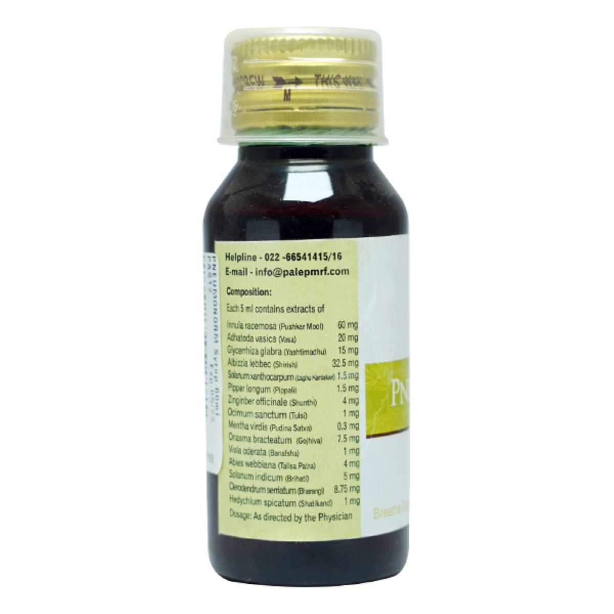 Dr.Palep's Pneumonorm Syrup, 60 ml, Pack of 1 Dr.Palep's Pneumonorm Syrup, 60 ml, Pack of 1