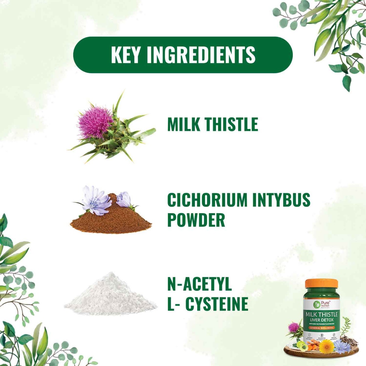 Pure Nutrition Milk Thistle Liver Detox, 60 Tablets, Pack of 1 Pure Nutrition Milk Thistle Liver Detox, 60 Tablets, Pack of 1