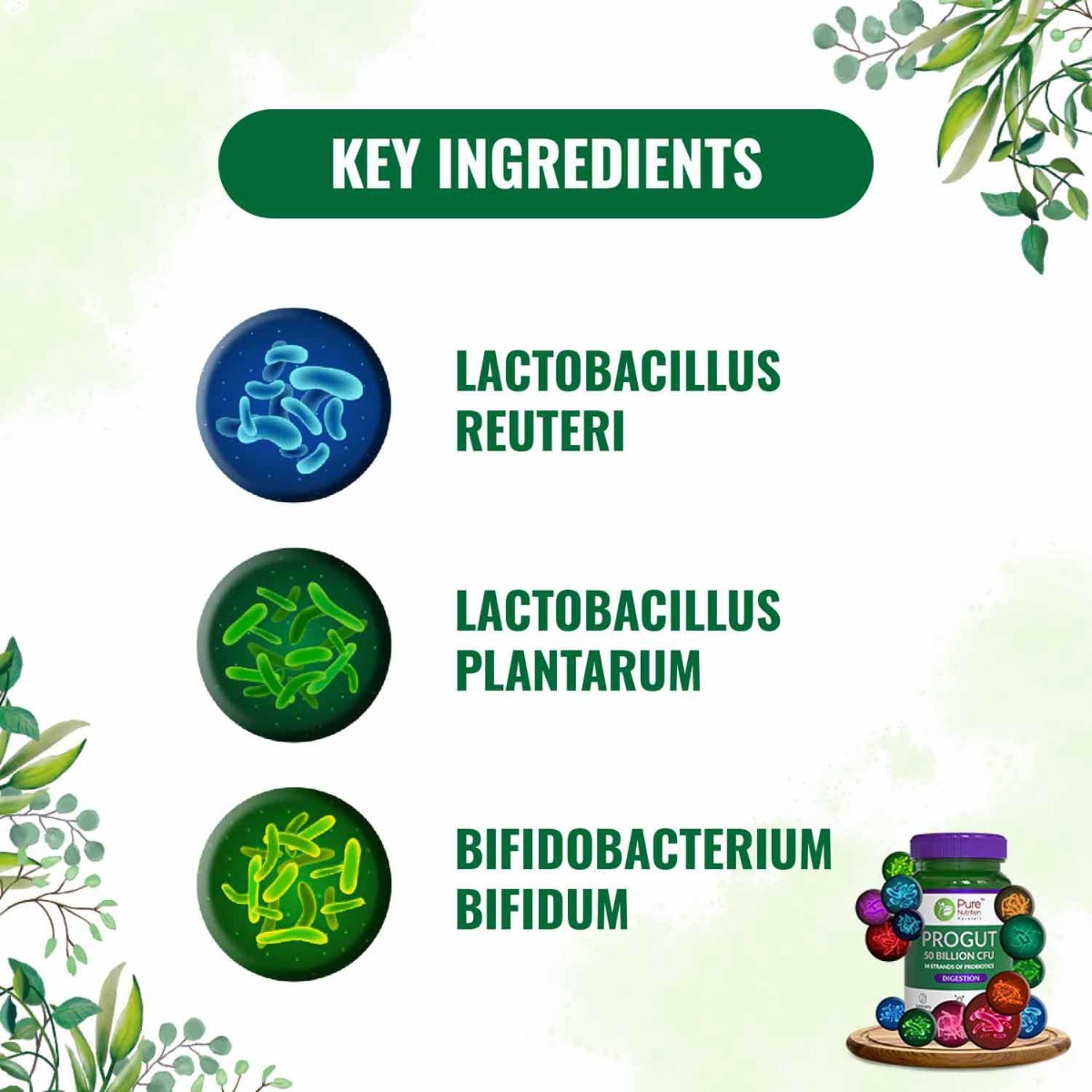 Pure Nutrition Progut 50 Billion CFU 600 mg, 60 Capsules, Pack of 1 Pure Nutrition Progut 50 Billion CFU 600 mg, 60 Capsules, Pack of 1