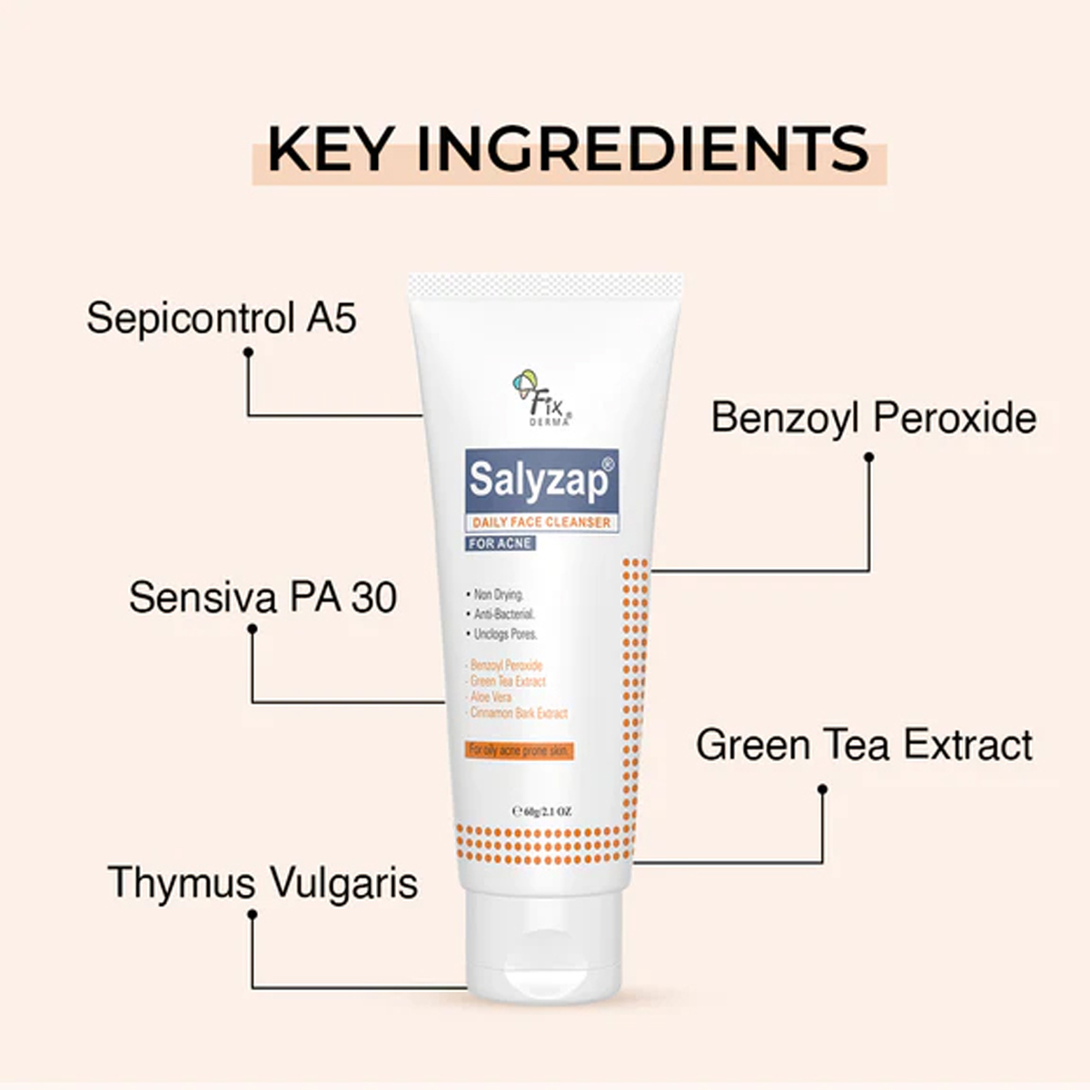 Salyzap Daily Face Cleanser, 60 gm, Pack of 1 Salyzap Daily Face Cleanser, 60 gm, Pack of 1