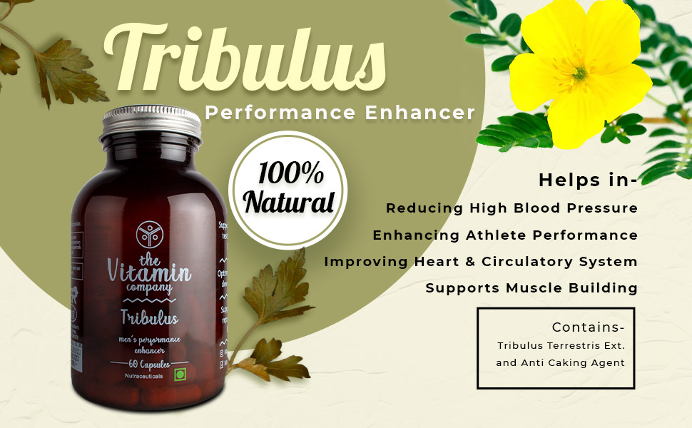 The Vitamin Company Tribulus, 60 Capsules, Pack of 1 The Vitamin Company Tribulus, 60 Capsules, Pack of 1