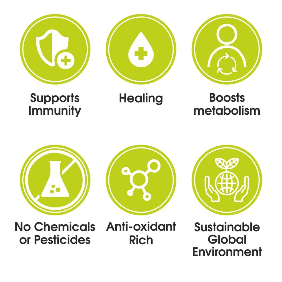 Ty.phoo Supporting Green Tea Tulsi Bags, 25 Count Ty.phoo Supporting Green Tea Tulsi Bags, 25 Count