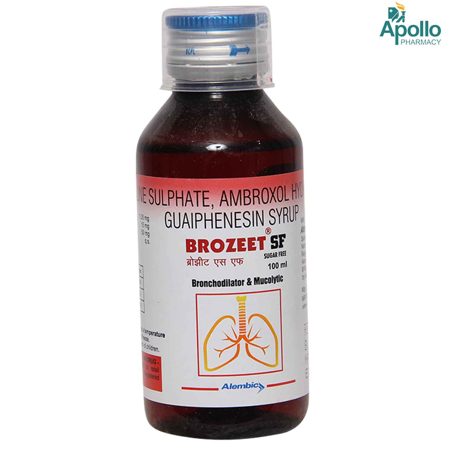 Brozeet Sugar Free Syrup 100 ml, Pack of 1 Brozeet Sugar Free Syrup 100 ml, Pack of 1